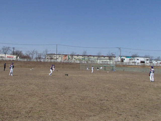 野球同好会活動の様子