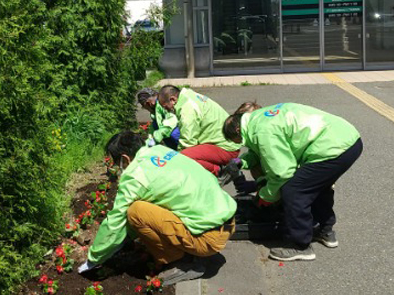 花植えボランティアの様子