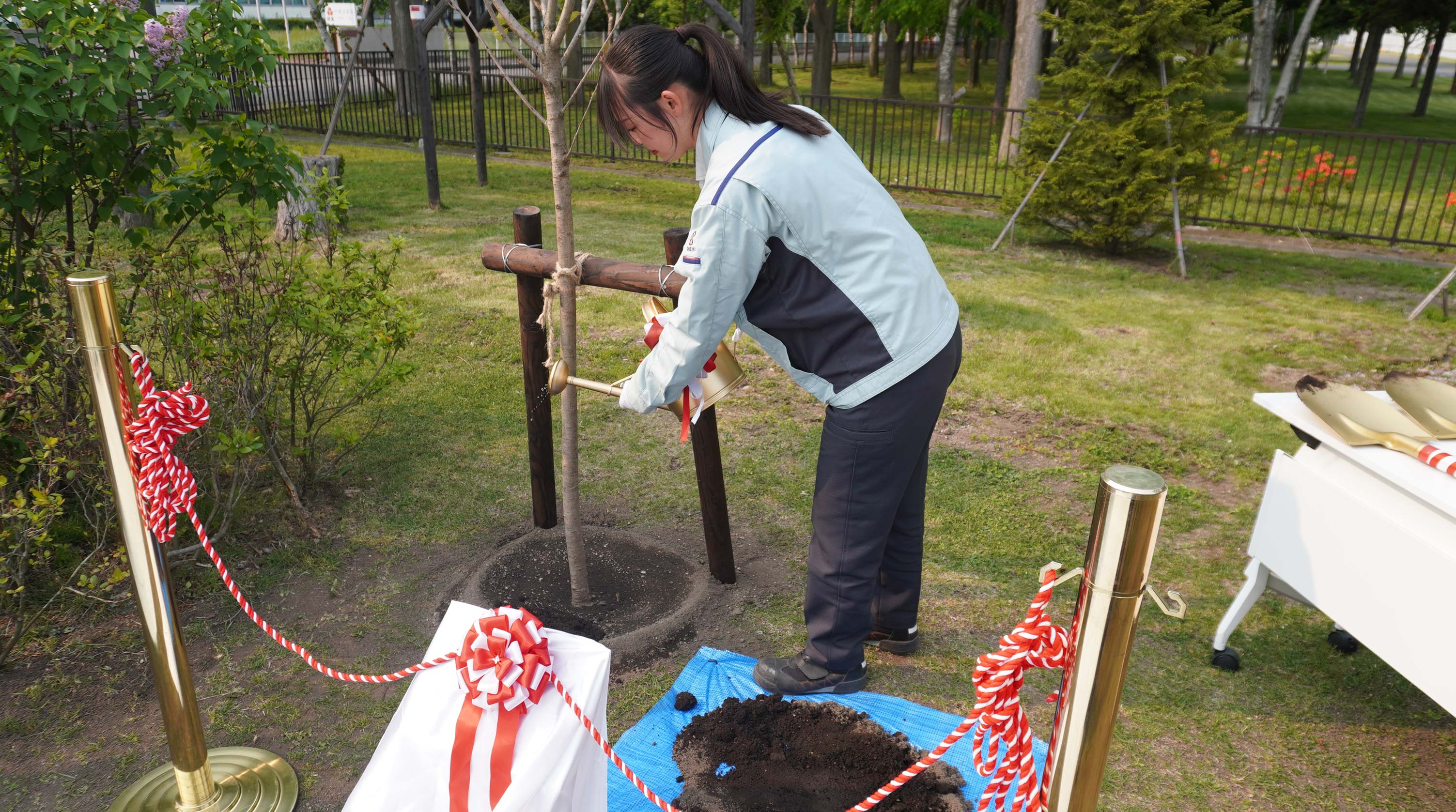 植樹の様子2